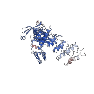 14745_7zjd_B_v1-0
Transient receptor potential cation channel subfamily V member 2,Enhanced green fluorescent protein