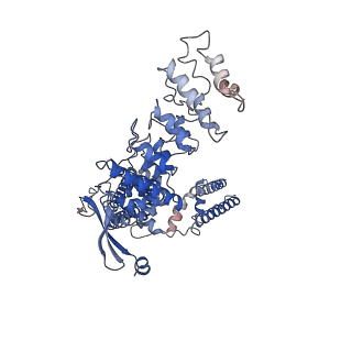 14745_7zjd_C_v1-0
Transient receptor potential cation channel subfamily V member 2,Enhanced green fluorescent protein