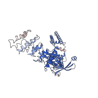 14745_7zjd_D_v1-0
Transient receptor potential cation channel subfamily V member 2,Enhanced green fluorescent protein
