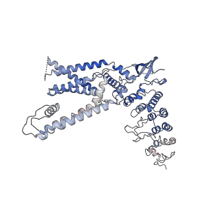 14749_7zji_B_v1-0
Transient receptor potential cation channel subfamily V member 2,Enhanced green fluorescent protein