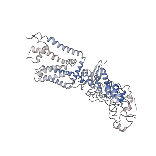 14749_7zji_C_v1-0
Transient receptor potential cation channel subfamily V member 2,Enhanced green fluorescent protein