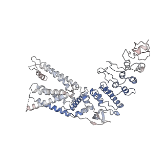 14749_7zji_D_v1-0
Transient receptor potential cation channel subfamily V member 2,Enhanced green fluorescent protein