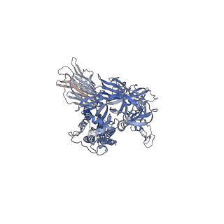 14750_7zjl_B_v1-0
Delta SARS-CoV-2 spike protein in complex with REGN10987 Fab homologue.