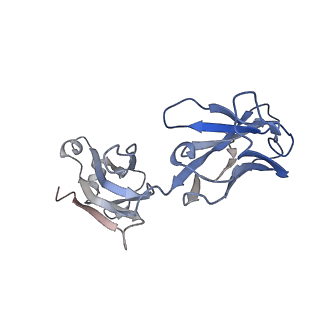 14750_7zjl_g_v1-0
Delta SARS-CoV-2 spike protein in complex with REGN10987 Fab homologue.