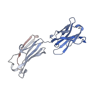 14750_7zjl_h_v1-0
Delta SARS-CoV-2 spike protein in complex with REGN10987 Fab homologue.