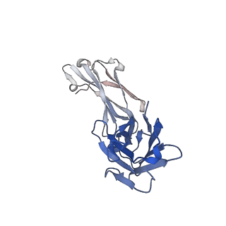14750_7zjl_j_v1-0
Delta SARS-CoV-2 spike protein in complex with REGN10987 Fab homologue.