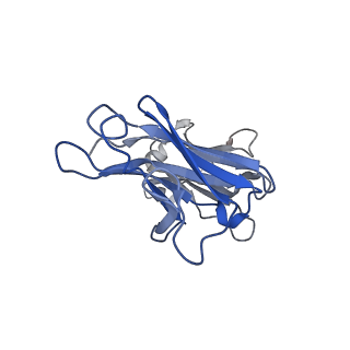 14750_7zjl_k_v1-0
Delta SARS-CoV-2 spike protein in complex with REGN10987 Fab homologue.