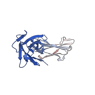 14750_7zjl_l_v1-0
Delta SARS-CoV-2 spike protein in complex with REGN10987 Fab homologue.
