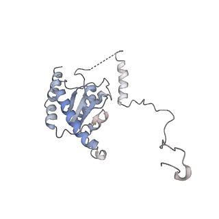 14751_7zjw_B_v1-0
Rabbit 80S ribosome as it decodes the Sec-UGA codon