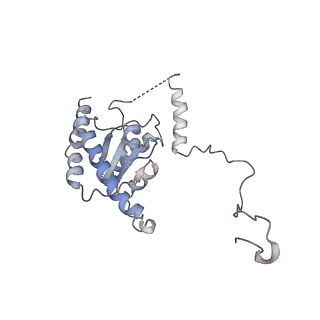 14751_7zjw_B_v2-0
Rabbit 80S ribosome as it decodes the Sec-UGA codon