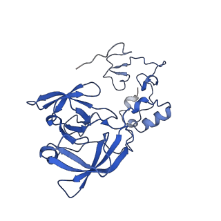 14751_7zjw_LD_v1-0
Rabbit 80S ribosome as it decodes the Sec-UGA codon