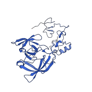 14751_7zjw_LD_v2-0
Rabbit 80S ribosome as it decodes the Sec-UGA codon