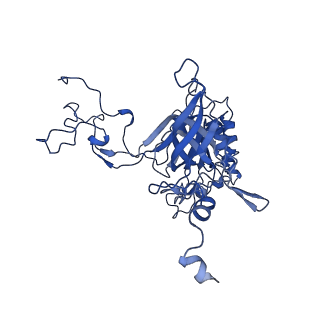 14751_7zjw_LE_v1-0
Rabbit 80S ribosome as it decodes the Sec-UGA codon