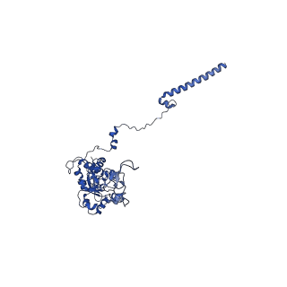 14751_7zjw_LF_v1-0
Rabbit 80S ribosome as it decodes the Sec-UGA codon