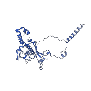 14751_7zjw_LG_v1-0
Rabbit 80S ribosome as it decodes the Sec-UGA codon