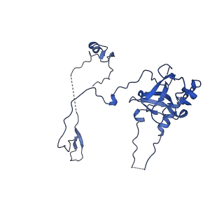 14751_7zjw_LH_v1-0
Rabbit 80S ribosome as it decodes the Sec-UGA codon