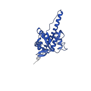 14751_7zjw_LI_v1-0
Rabbit 80S ribosome as it decodes the Sec-UGA codon