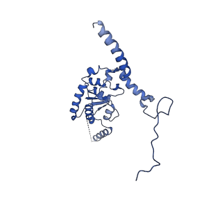 14751_7zjw_LJ_v1-0
Rabbit 80S ribosome as it decodes the Sec-UGA codon