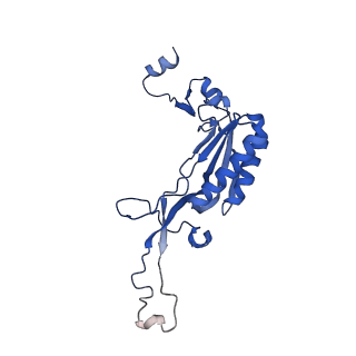 14751_7zjw_LL_v1-0
Rabbit 80S ribosome as it decodes the Sec-UGA codon