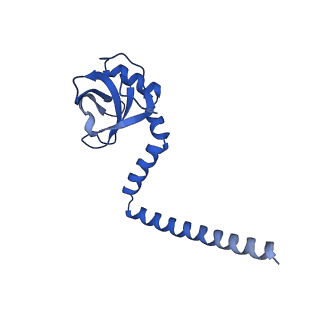14751_7zjw_LP_v1-0
Rabbit 80S ribosome as it decodes the Sec-UGA codon