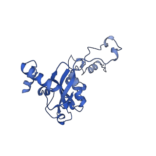 14751_7zjw_LQ_v1-0
Rabbit 80S ribosome as it decodes the Sec-UGA codon