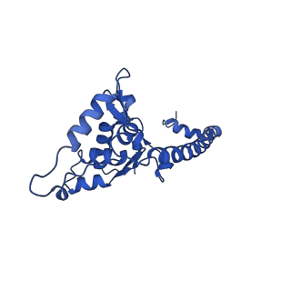 14751_7zjw_LR_v1-0
Rabbit 80S ribosome as it decodes the Sec-UGA codon
