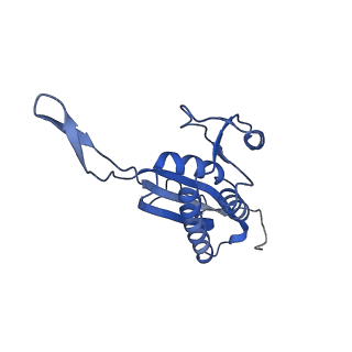 14751_7zjw_LS_v1-0
Rabbit 80S ribosome as it decodes the Sec-UGA codon