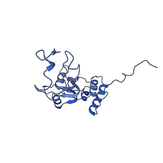 14751_7zjw_LT_v1-0
Rabbit 80S ribosome as it decodes the Sec-UGA codon