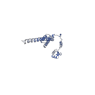 14751_7zjw_LU_v1-0
Rabbit 80S ribosome as it decodes the Sec-UGA codon