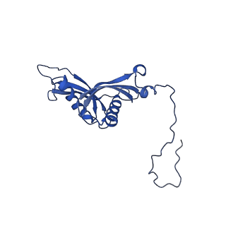 14751_7zjw_LV_v1-0
Rabbit 80S ribosome as it decodes the Sec-UGA codon
