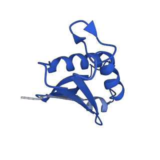 14751_7zjw_LX_v1-0
Rabbit 80S ribosome as it decodes the Sec-UGA codon