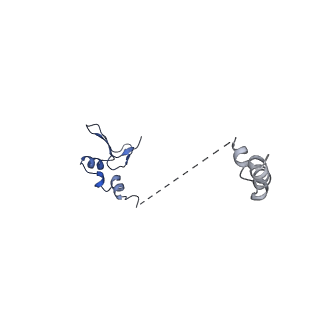 14751_7zjw_LZ_v1-0
Rabbit 80S ribosome as it decodes the Sec-UGA codon
