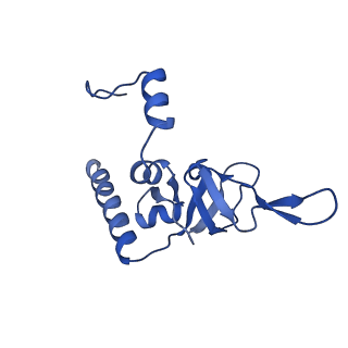 14751_7zjw_Lb_v1-0
Rabbit 80S ribosome as it decodes the Sec-UGA codon