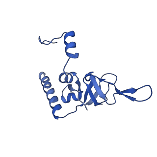 14751_7zjw_Lb_v2-0
Rabbit 80S ribosome as it decodes the Sec-UGA codon