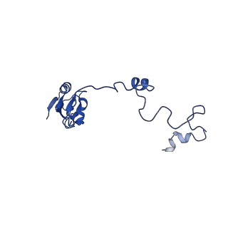 14751_7zjw_Ld_v1-0
Rabbit 80S ribosome as it decodes the Sec-UGA codon