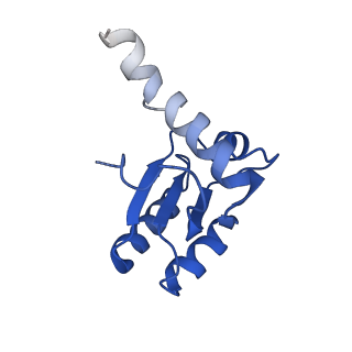 14751_7zjw_Lf_v1-0
Rabbit 80S ribosome as it decodes the Sec-UGA codon