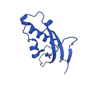 14751_7zjw_Lg_v1-0
Rabbit 80S ribosome as it decodes the Sec-UGA codon