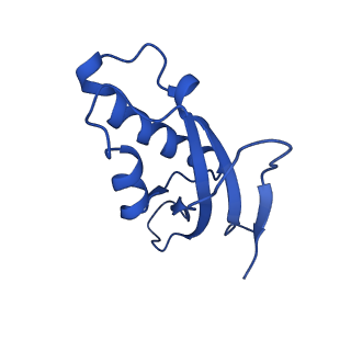 14751_7zjw_Lg_v2-0
Rabbit 80S ribosome as it decodes the Sec-UGA codon