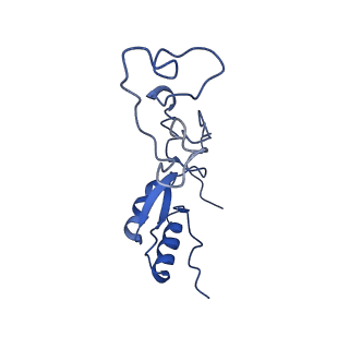 14751_7zjw_Lh_v1-0
Rabbit 80S ribosome as it decodes the Sec-UGA codon