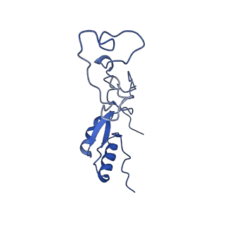 14751_7zjw_Lh_v2-0
Rabbit 80S ribosome as it decodes the Sec-UGA codon