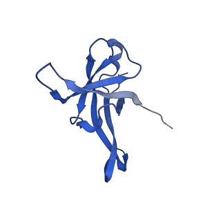 14751_7zjw_Li_v1-0
Rabbit 80S ribosome as it decodes the Sec-UGA codon