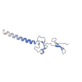 14751_7zjw_Lj_v1-0
Rabbit 80S ribosome as it decodes the Sec-UGA codon