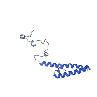 14751_7zjw_Lk_v1-0
Rabbit 80S ribosome as it decodes the Sec-UGA codon