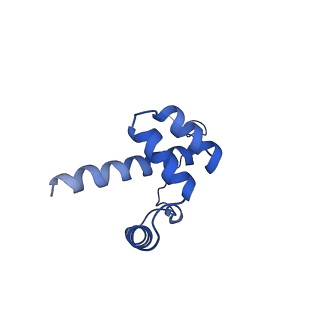14751_7zjw_Ll_v1-0
Rabbit 80S ribosome as it decodes the Sec-UGA codon