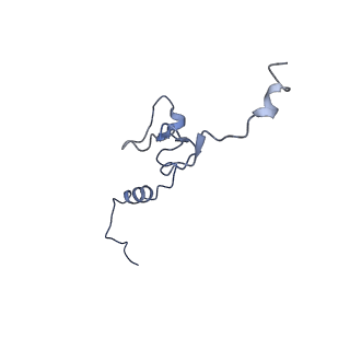 14751_7zjw_Lm_v1-0
Rabbit 80S ribosome as it decodes the Sec-UGA codon