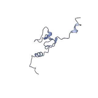 14751_7zjw_Lm_v2-0
Rabbit 80S ribosome as it decodes the Sec-UGA codon