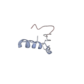 14751_7zjw_Lo_v1-0
Rabbit 80S ribosome as it decodes the Sec-UGA codon