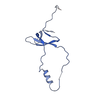14751_7zjw_Lq_v1-0
Rabbit 80S ribosome as it decodes the Sec-UGA codon
