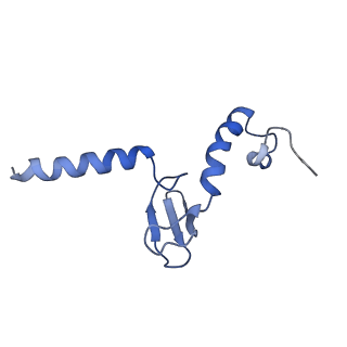 14751_7zjw_Lr_v1-0
Rabbit 80S ribosome as it decodes the Sec-UGA codon