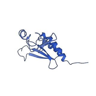 14751_7zjw_Ls_v1-0
Rabbit 80S ribosome as it decodes the Sec-UGA codon